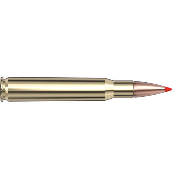 30‑06 Springfield 165 gr SST® Superformance®