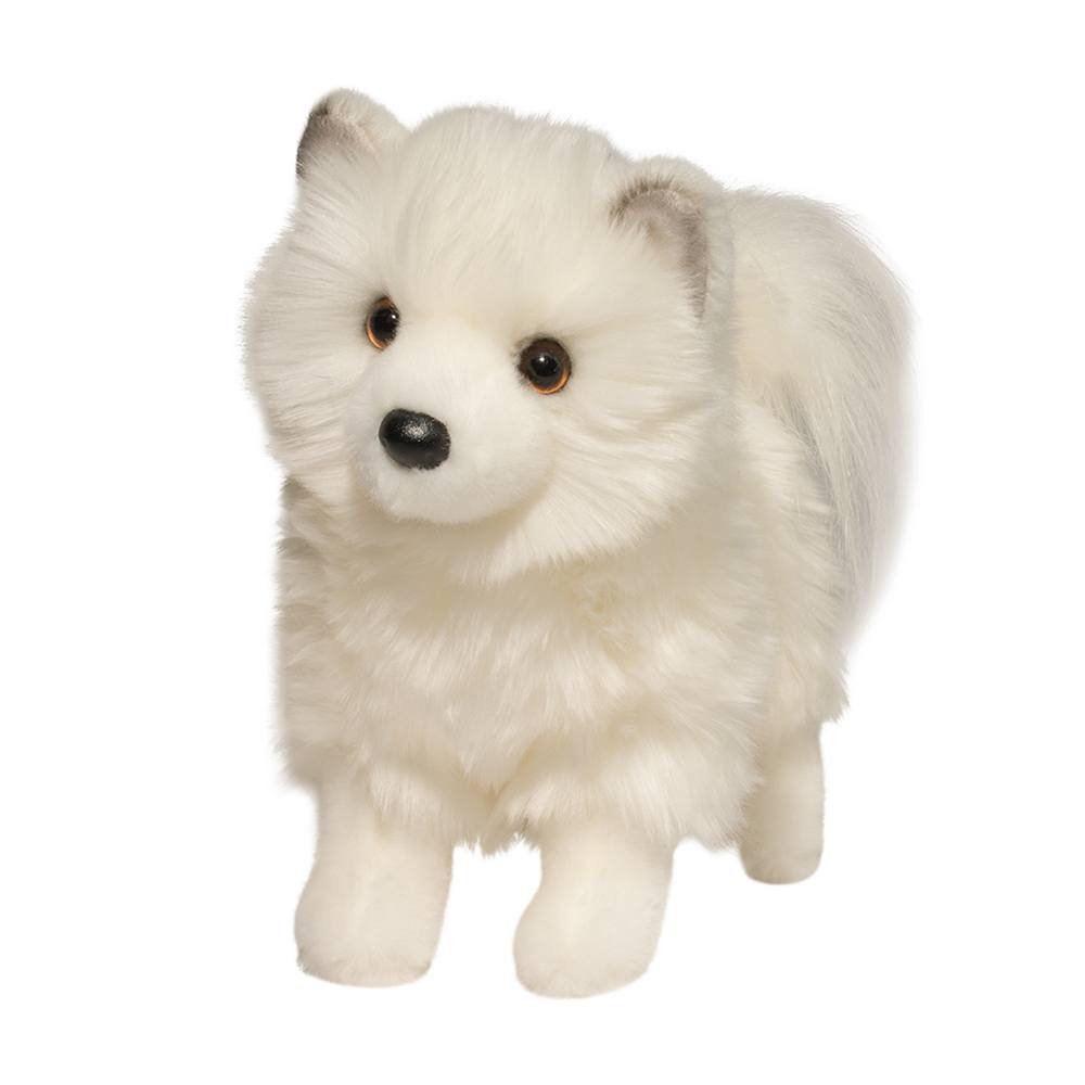 Douglas Phoebe Pomsky