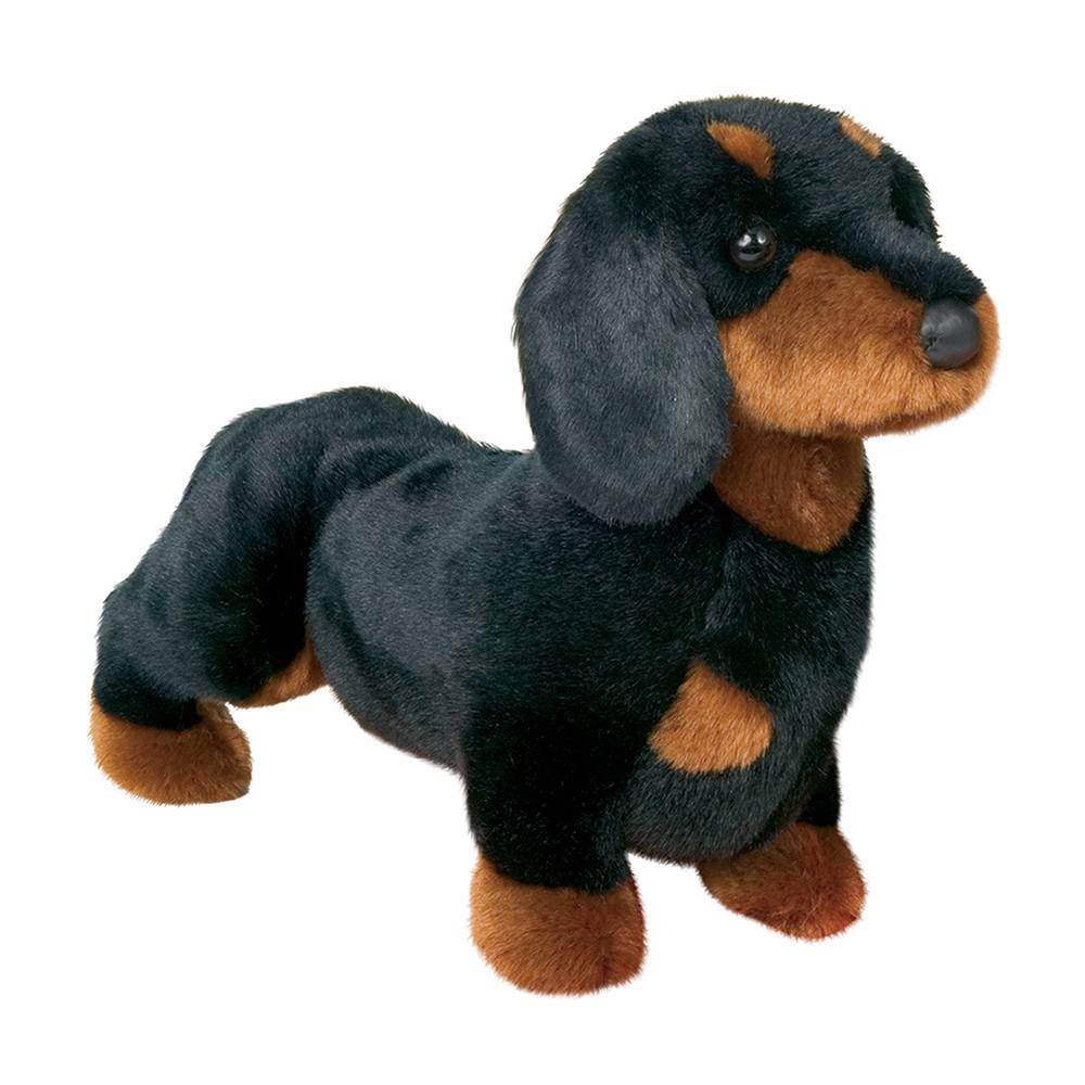 Douglas Spats Black & Tan Dachshund