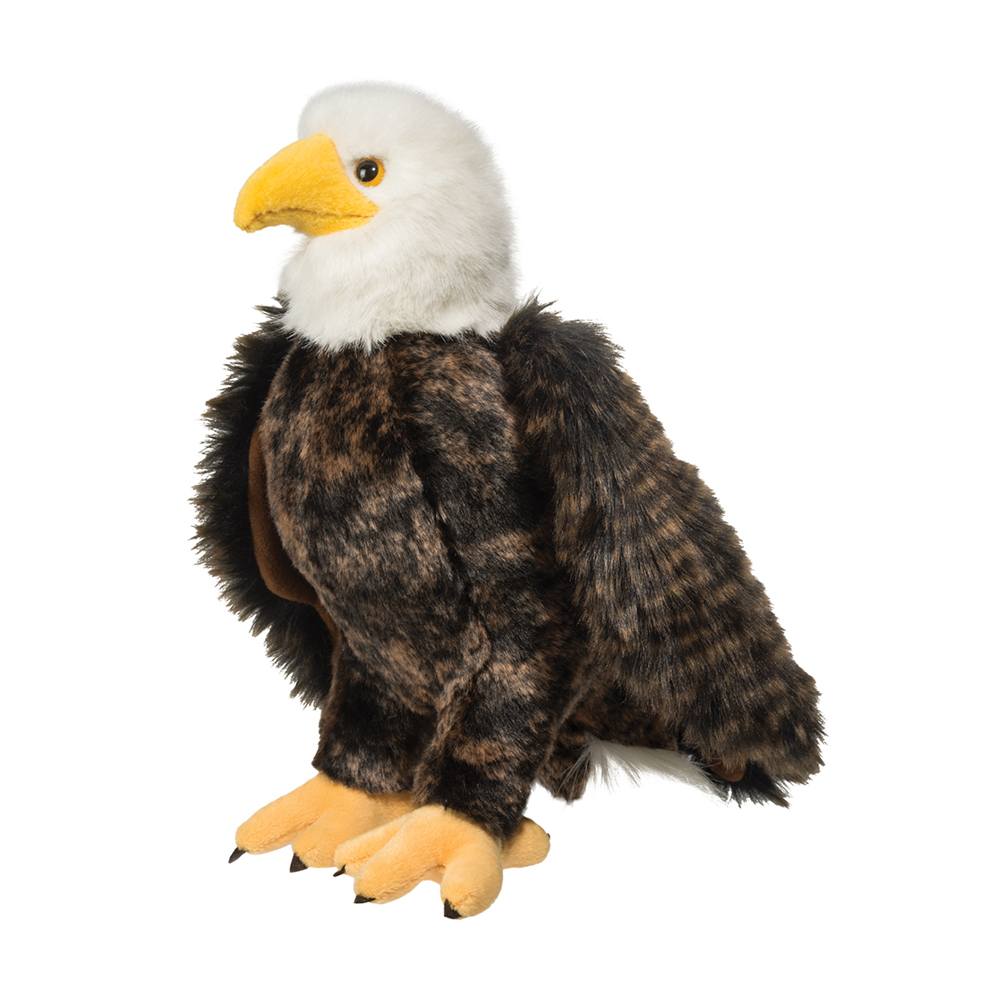 Douglas Adler Bald Eagle