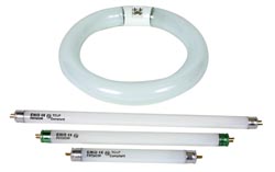 Cool White Fluorescent Tubes