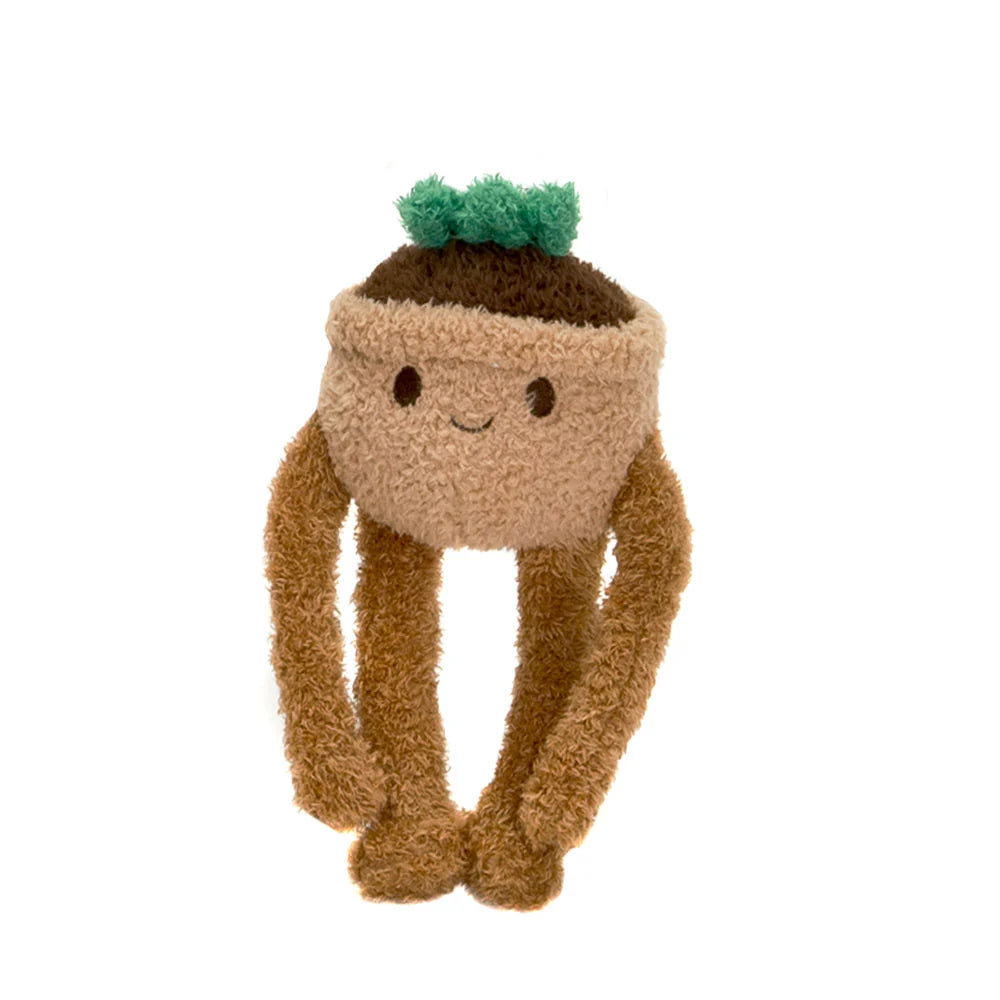 Noodlez - 8.5in Succulent