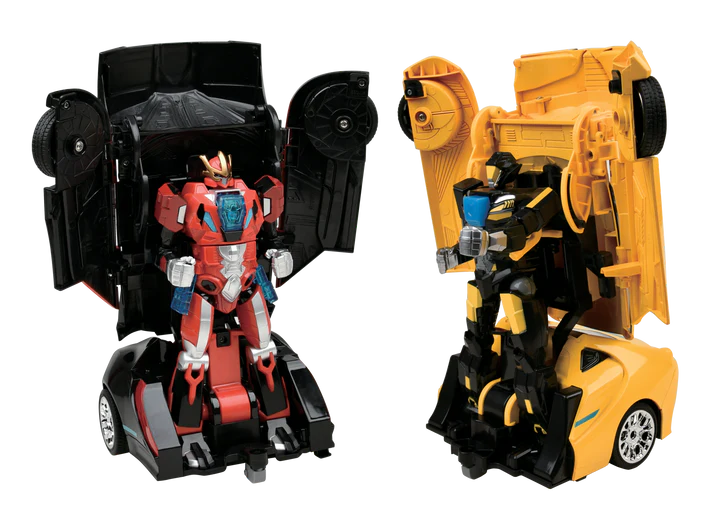 Auto Moto: Battling Robots