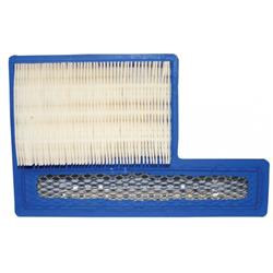 Onan 140-3116 Air Filter for Marquis Gold & Platinum Gas & Lp Vapor