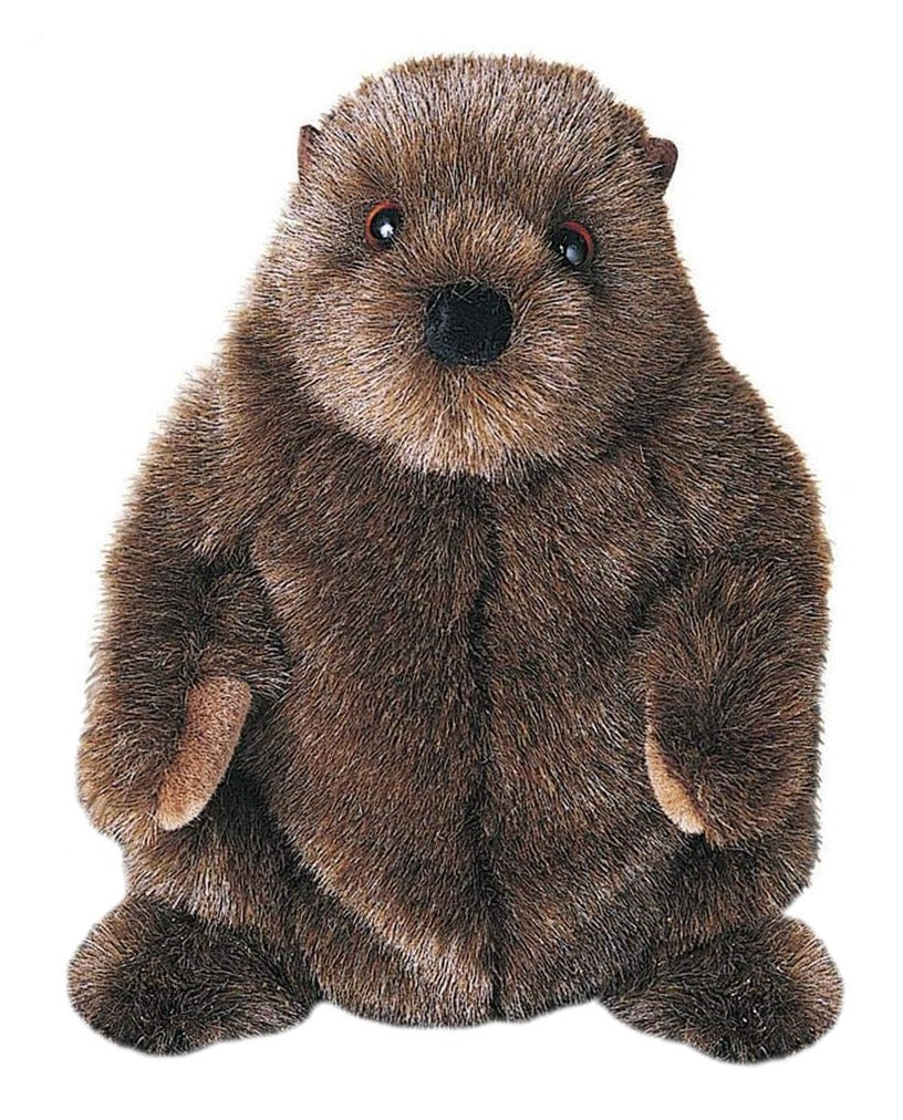 Douglas Chuckwood Groundhog