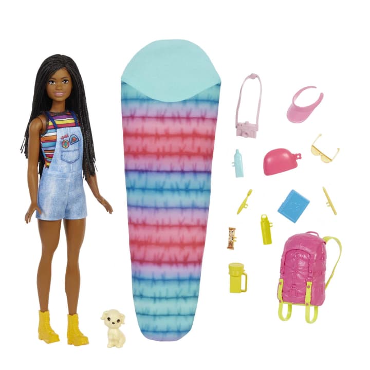 Barbie It Takes Two “Brooklyn” Camping Doll