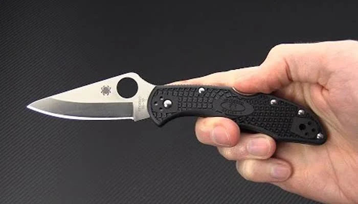 Spyderco Delica 4 Folding Knife 2-7/8" VG10 Satin Plain Blade